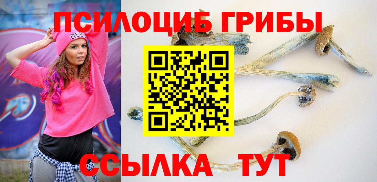 Котлас  Галлюциногенные грибы MAGIC MUSHROOMS  Вход с VPN 